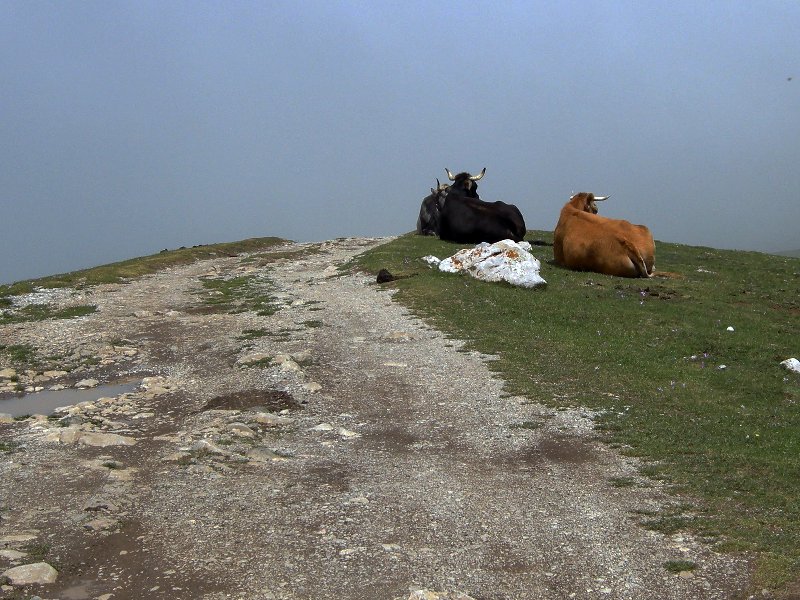 Picos_08_14 1052